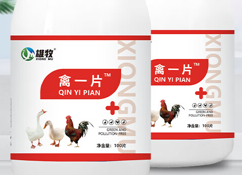 雄牧禽一片:禽类健康养殖的贴心守护者 雄牧禽一片:禽类健康养殖的贴心守护者