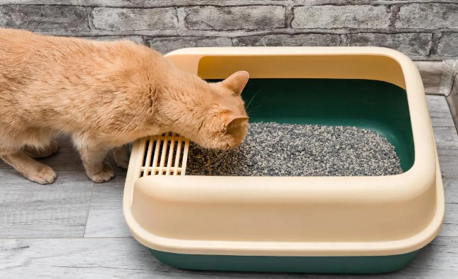 猫砂盆正确使用方法：选择靠谱的猫砂盆品牌，养猫更省心