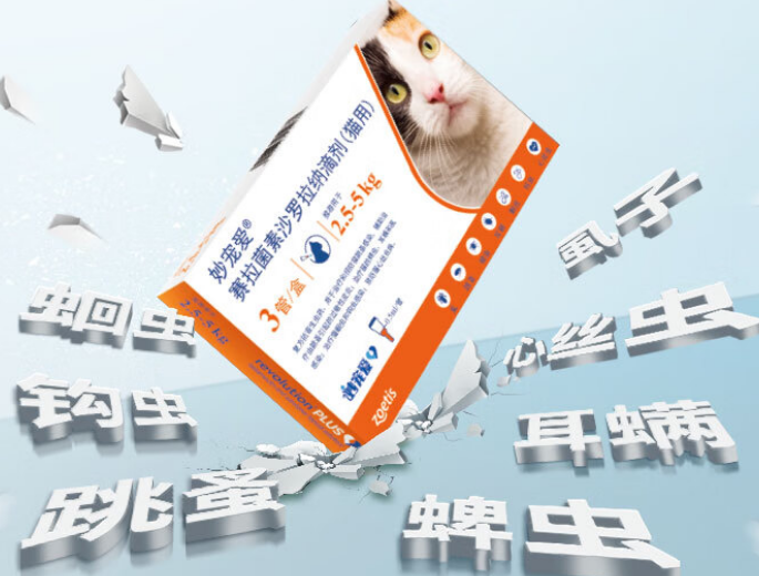妙宠爱和大宠爱有什么区别 妙宠爱和大宠爱有什么区别