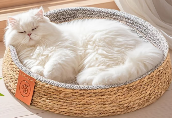 甜苗苗猫窝多少钱一个 甜苗苗猫窝多少钱一个