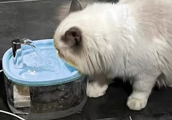 米聆饮水机一天耗多少度电 米聆饮水机一天耗多少度电