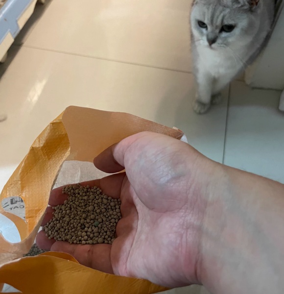 猫砂除臭推荐平价：宠幸双重除臭，打破骚气轰轰的尴尬