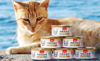 如何选购猫罐头？顽皮泰国进口白金罐不容错过！