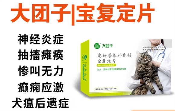 大团子宝复定片药店可以买到吗