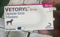 VETORYL曲洛斯坦需要长期吃吗
