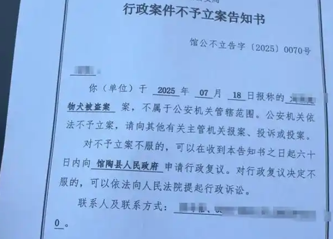 花万元买的西施犬晚上遛弯被人抱走