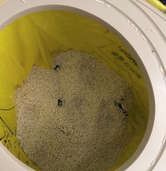 猫砂推荐无粉尘,用N1爱宠爱猫纯豆腐砂后猫咪喷嚏都少了 猫砂推荐无粉尘,用N1爱宠爱猫纯豆腐砂后猫咪喷嚏都少了