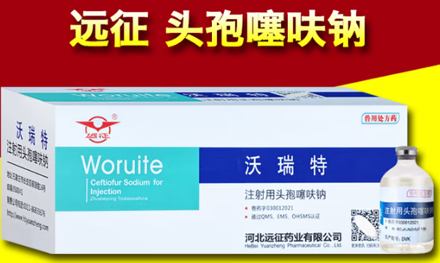 远征注射用头孢噻呋钠在哪里买