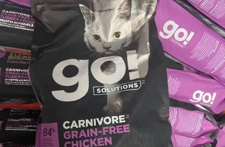 猫粮好点的有什么品牌？给毛孩子优质之选！