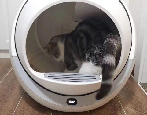 HHOLOVE猫砂盆怎么加猫砂 HHOLOVE猫砂盆怎么加猫砂