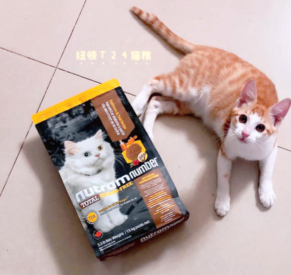 源自1993年的加拿大老牌粮丨‌纽顿猫咪低敏猫粮解决选粮难题
