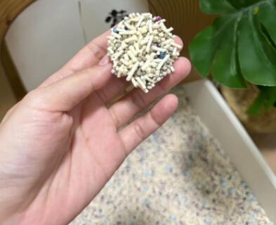 有宠汇猫砂怎么样 有宠汇猫砂怎么样