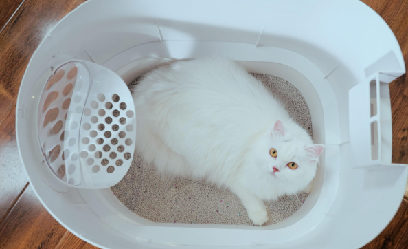 PETELLIGENT猫砂盆软件是干嘛的 PETELLIGENT猫砂盆软件是干嘛的