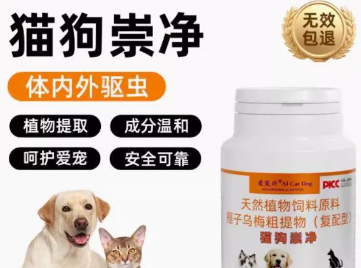 爱宠兴：全方位守护宠物健康的国货之光