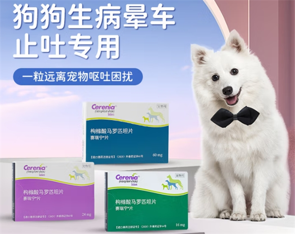 赛瑞宁止吐片效果如何