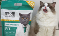 猫砂什么牌子好？凯锐思猫砂让消费回归质价比