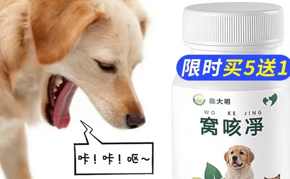 鑫大明窝咳净:犬猫呼吸道健康的“守护神” 鑫大明窝咳净:犬猫呼吸道健康的“守护神”