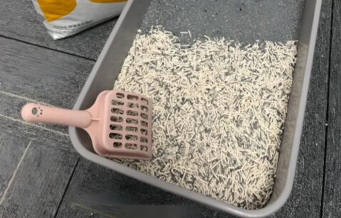博贝猫砂属于什么档次 博贝猫砂属于什么档次