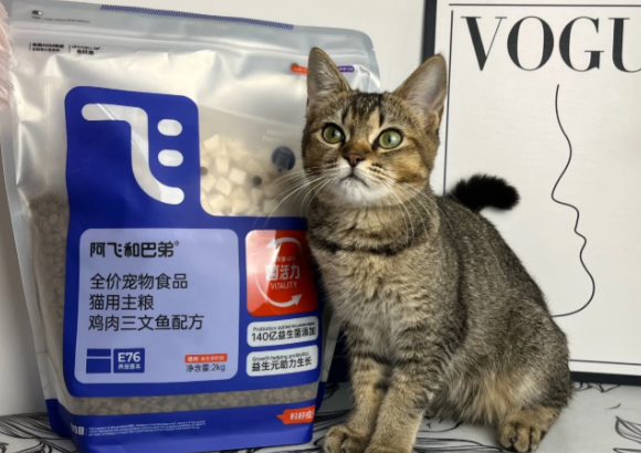 哪些猫粮的牌子比较好?阿飞和巴弟:国产宠粮的“技术派”突围 哪些猫粮的牌子比较好?阿飞和巴弟:国产宠粮的“技术派”突围