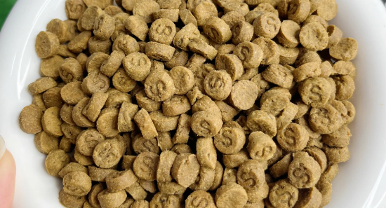 萨摩耶幼犬狗粮品牌排行榜出炉，馋不腻狗粮放心选！