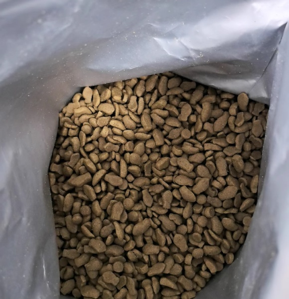低脂猫粮：科学减重，守护猫咪健康