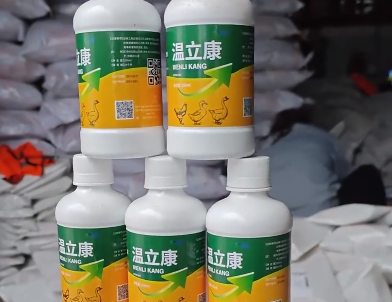 雄牧温立康成破解家禽健康难题的可靠之选