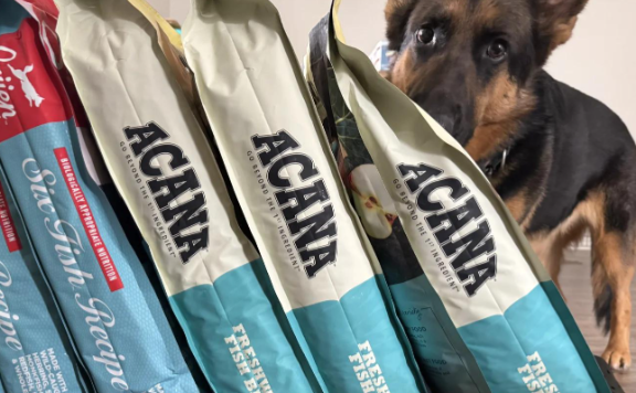 爱肯拿狗粮值得选择吗?品质与选择优势详解 爱肯拿狗粮值得选择吗?品质与选择优势详解
