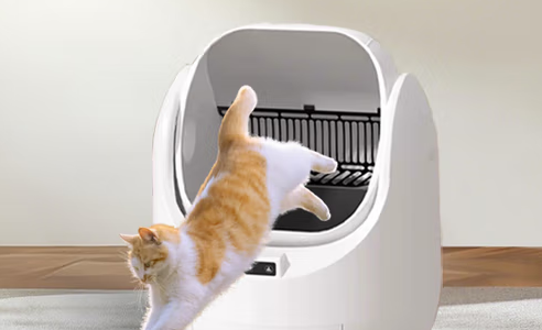 倍欣宠全自动猫砂盆:以智能科技重塑养宠清洁体验 倍欣宠全自动猫砂盆:以智能科技重塑养宠清洁体验