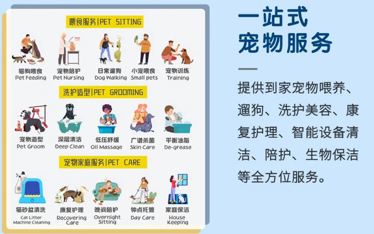 萌宠在家：上门服务，给宠物家的温暖守护