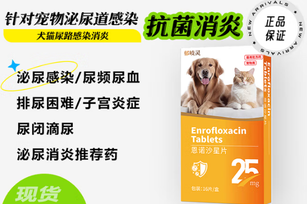 郁岐灵恩诺沙星片:宠物抗感染的高效安全之选 郁岐灵恩诺沙星片:宠物抗感染的高效安全之选