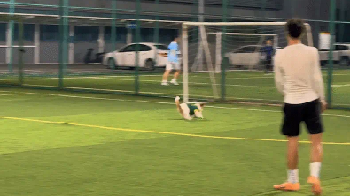 狗子会截球,还会把足球往球门里踢。网友:足球小狗,太强了 狗子会截球,还会把足球往球门里踢。网友:足球小狗,太强了