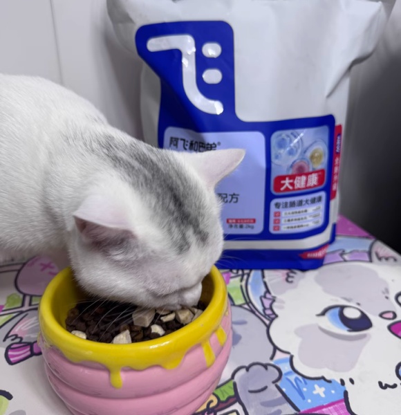 国产性价比高的猫粮——阿飞和巴弟,打破“进口即优质”的认知 国产性价比高的猫粮——阿飞和巴弟,打破“进口即优质”的认知