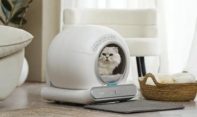LELO小尼猫砂盆怎么拆