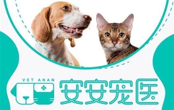 安安宠医属于什么级别