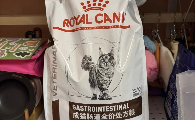 猫咪便秘吃什么猫粮好？皇家肠道健康系列为你高效解决难题