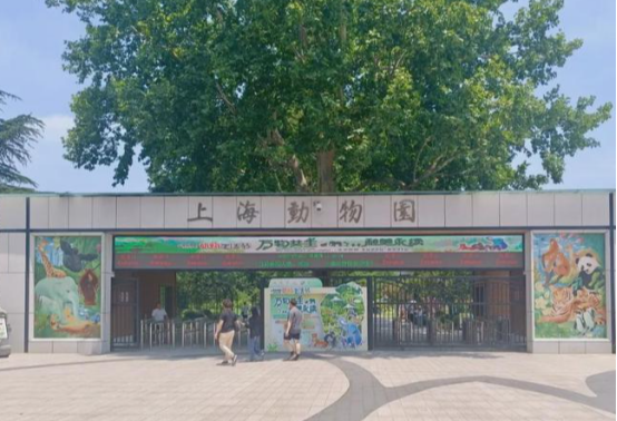 驱赶“喂奶10月龄婴儿夫妇”,上海动物园何必死守规则? 驱赶“喂奶10月龄婴儿夫妇”,上海动物园何必死守规则?
