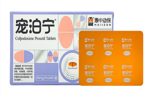 宠泊宁