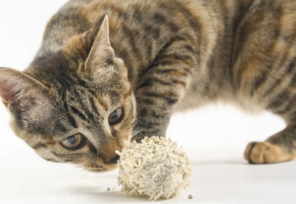 好物揭秘！市面上比较好的猫砂实测，强推pidan经典混合猫砂