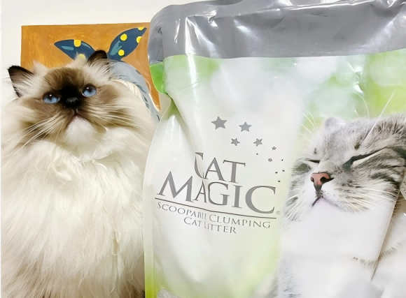 猫砂性价比高的是哪个牌子?洁客性价比之选,铲屎官的省心解决方案 猫砂性价比高的是哪个牌子?洁客性价比之选,铲屎官的省心解决方案