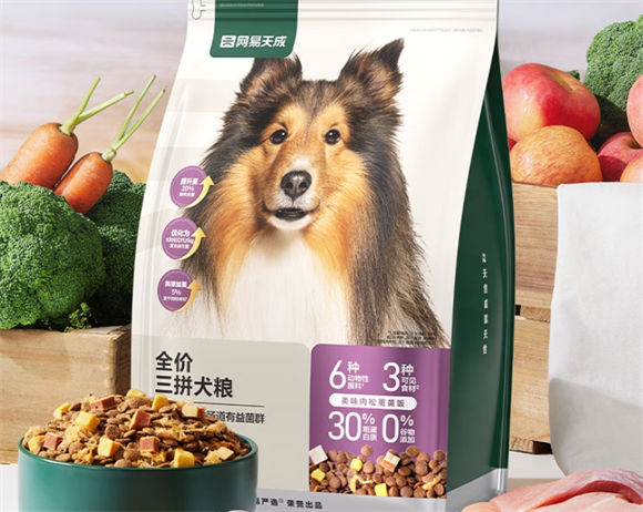 国产性价比狗粮推荐？网易天成打造高品质宠物粮