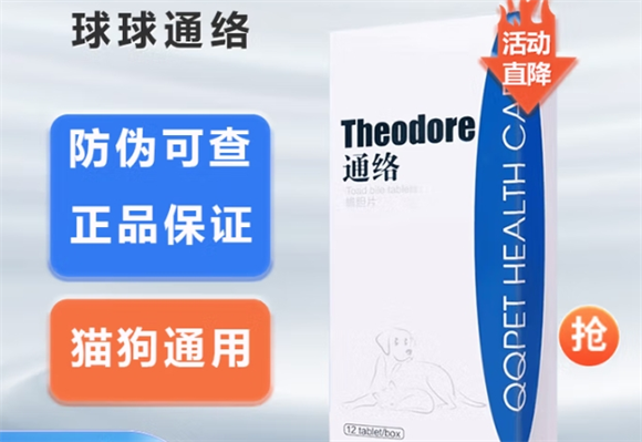 球球通络宠物在哪里买