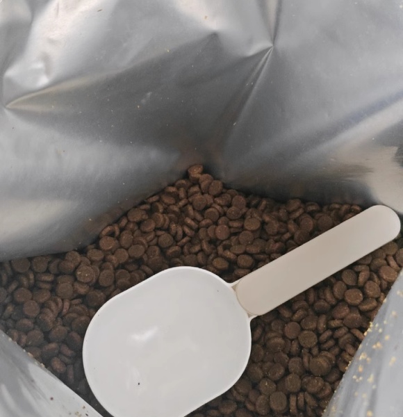 高档猫粮品牌有哪些,Acana爱肯拿以自然之力定义高端 高档猫粮品牌有哪些,Acana爱肯拿以自然之力定义高端