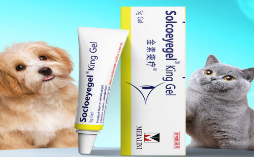 SOICOEYEGEL