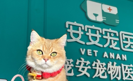 安安宠医怎么样 安安宠医怎么样