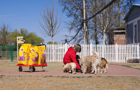 当玛氏用实际行动,为城市按下“宠物友好键” 当玛氏用实际行动,为城市按下“宠物友好键”