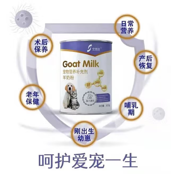 中博特奶粉多少钱