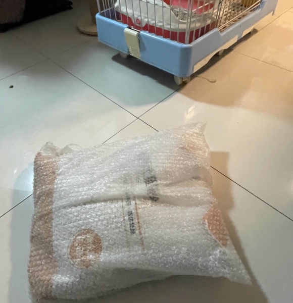 猫砂除臭推荐平价：宠幸双重除臭，打破骚气轰轰的尴尬