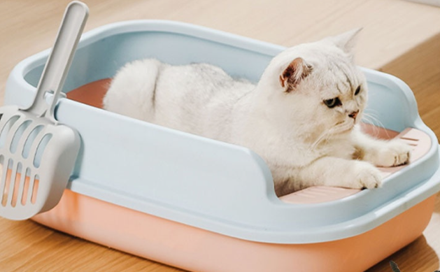 宠蔓猫砂盆是充电的吗 宠蔓猫砂盆是充电的吗