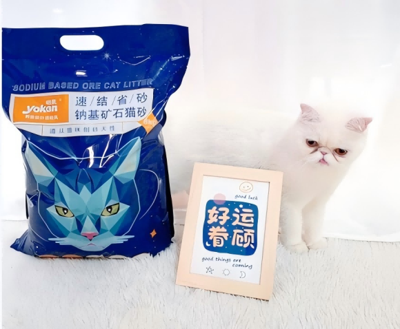 膨润土和豆腐猫砂区别？这两款猫砂为毛孩子打造优秀如厕环境