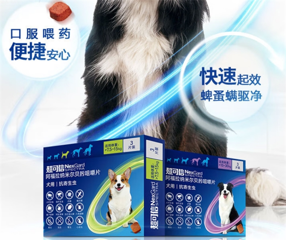 nexgard怎么给猫咪喂 nexgard怎么给猫咪喂